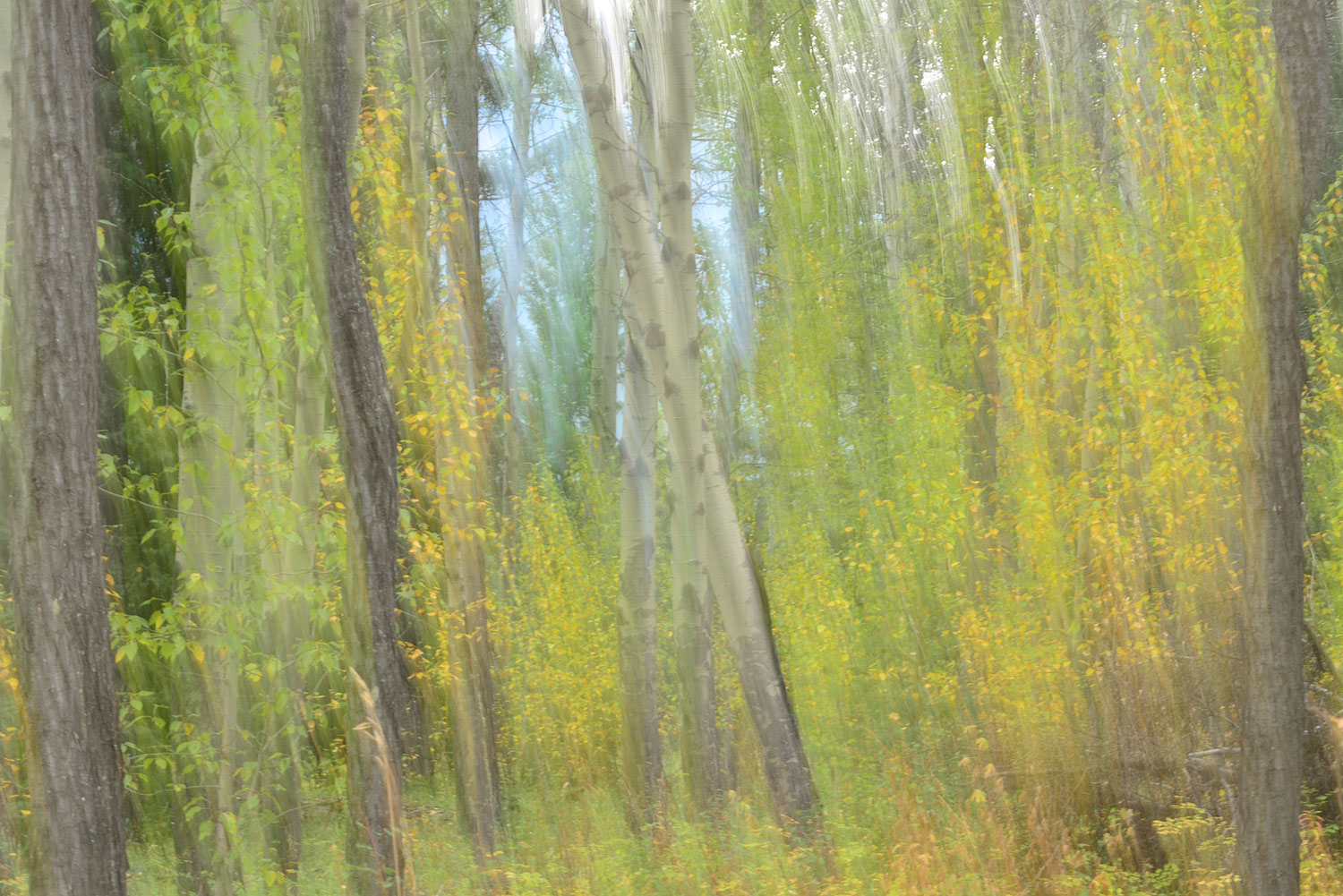 Fer Guevara Photography. Todos los derechos reservados.