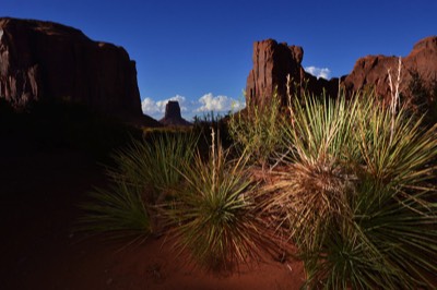 Utah3